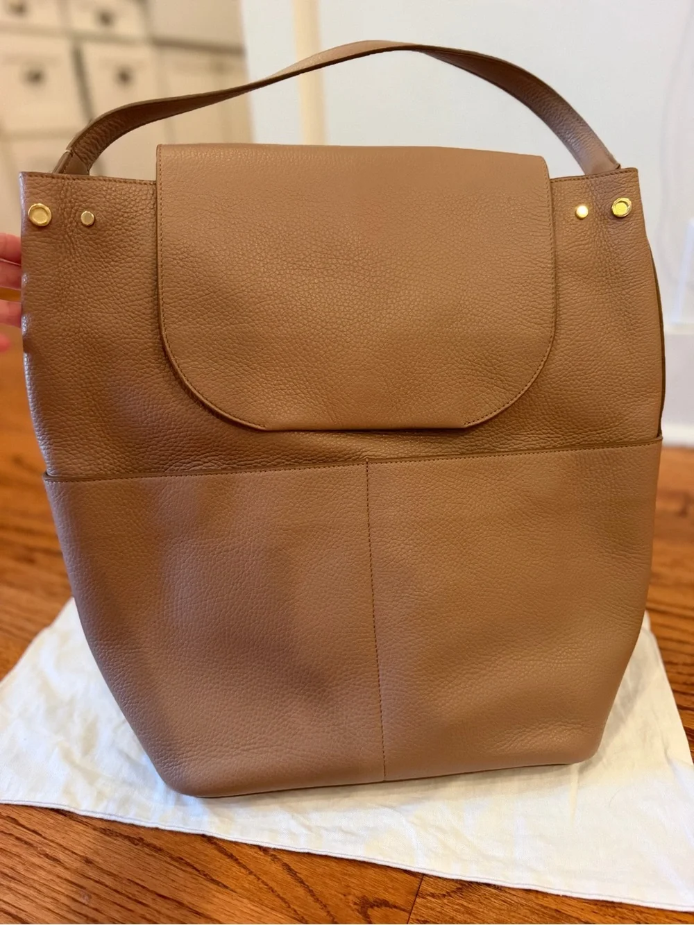 Cuyana Taupe Leather Backpack in Warm Beige